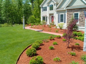 Spring Maintenance