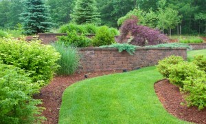 Plants, Mulch, and Hardscapes