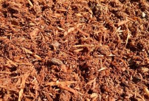 Pure Hemlock Mulch