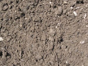 Screened Loam