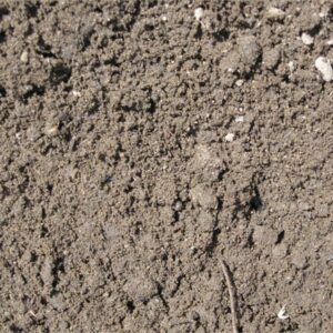 Screened Loam