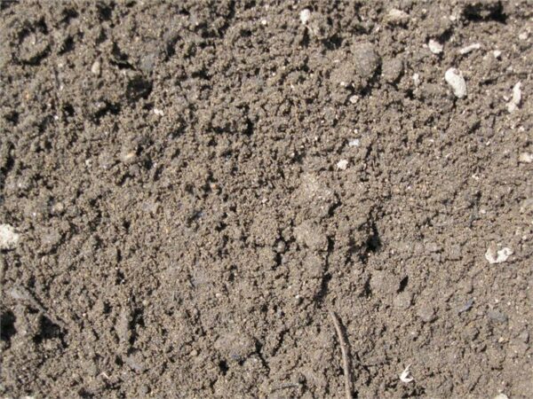 Screened Loam
