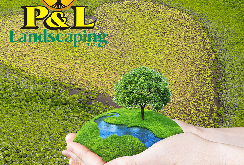 Celebrating Earth Day: How P&L Landscaping Makes a Difference