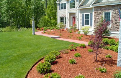 Landscape Design & Installation