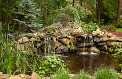 Water Features & Ponds