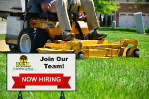 Employment Opportunities