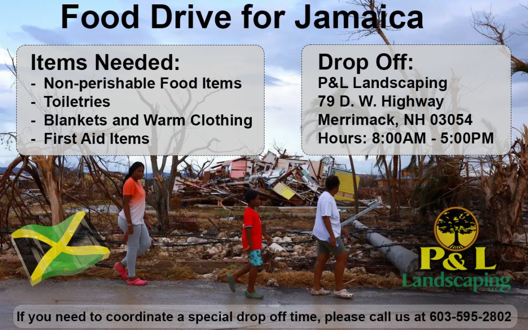 Food Drive For Jamaica